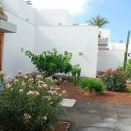 Primavera Pool